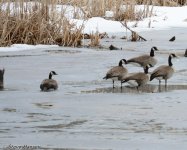 DSC_8501.jpg