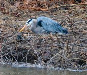 DSC_8622.jpg