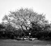 FSC_7805.jpg