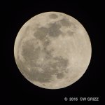 moon-P-cr.jpg