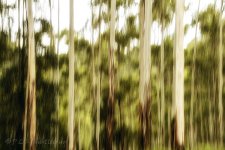 15B_0686_webshot.jpg