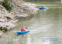 Tokyo Japan.jpg
