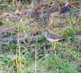DSC_5716.jpg