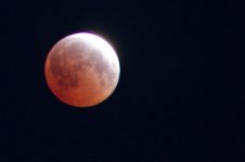 _DSC8114-Blood Moon-0014.jpg