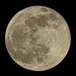 _DSC1001-1-1-1-1.jpg