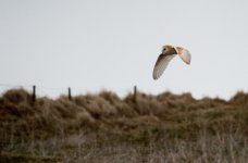 Untitled-8.jpg