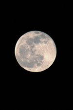 moon-7333.jpg