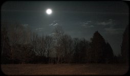 Darky-7340.jpg