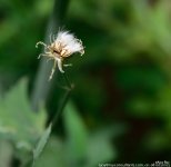 FSC_6542.jpg