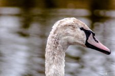 DSC_1664.jpg