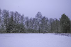 Easterb-7379.jpg