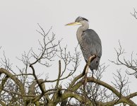 _DSC1042.jpg