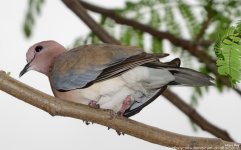 FSC_7902.jpg