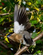 FSC_7017.jpg