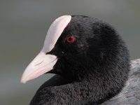DSC_1180.jpg