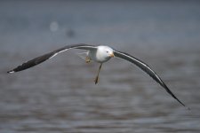 DSC_1237.jpg