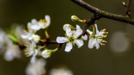 DSC_1669.jpg