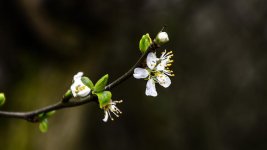 DSC_1673.jpg