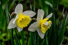 DSC_1689.jpg