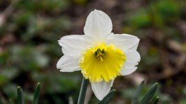 DSC_1700.jpg