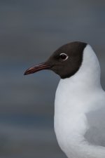 DSC_1249.jpg