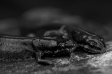 Untitled-5.jpg