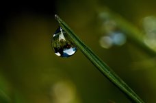 Untitled-2.jpg