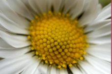 Untitled-6.jpg