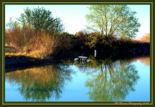 Reflections in Delta.jpg