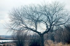 DSC_4080-GlennaDuckHuntingJesseLake-0007.jpg