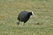 DSC_7173.jpg