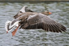 DSC_7163.jpg