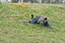 DSC_7170.jpg
