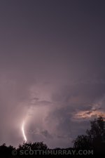 20150406-20150406-SHM_6542.jpg