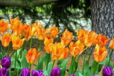DSC_1494.jpg