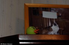 DSC_8717.jpg