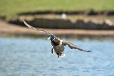 DSC_7289.jpg
