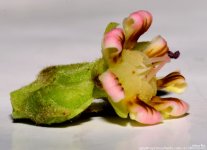 FSC_8138.jpg