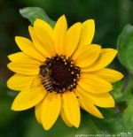 FSC_8270.jpg