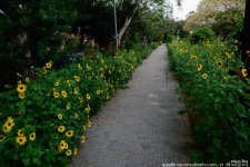FSC_8273.jpg