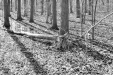 untitled shoot-0031.jpg