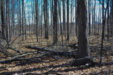untitled shoot-0034.jpg