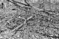 untitled shoot-0040.jpg