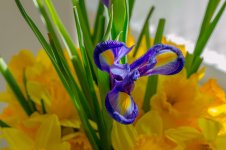 DSC_5184.jpg
