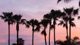 CarlsbadSunsets-1.jpg