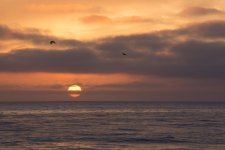 CarlsbadSunsets-2.jpg