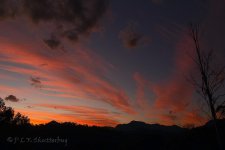 15B_0818_webshot.jpg