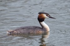 DSC_1650.jpg