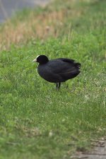 DSC_1621.jpg