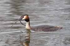 DSC_1636.jpg